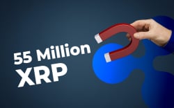 Ripple and Top Exchanges Move 55 Million XRP, While Coin Holds at $0.32